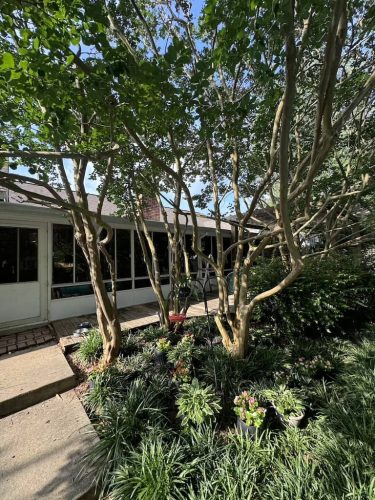 Roofing Contractor Starkville Ms Rawls Project 8